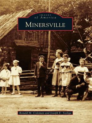 Cover of the book Minersville by Carol O'Keefe Wilson
