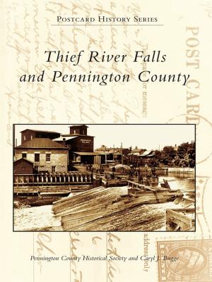 Cover of the book Thief River Falls and Pennington County by Michael C. Scoggins