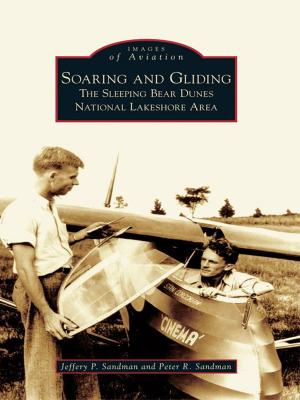bigCover of the book Soaring and Gliding by 
