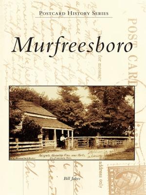 Cover of the book Murfreesboro by David Carroll