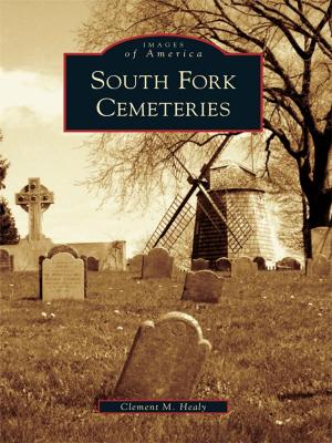Cover of the book South Fork Cemeteries by Dr. Eric R. Jackson, Richard Cooper