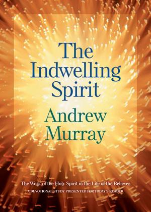 Cover of the book The Indwelling Spirit by Victoria Bylin