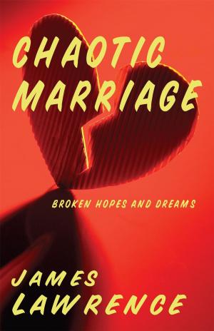 Cover of the book Chaotic Marriage by Jeffrey Landers