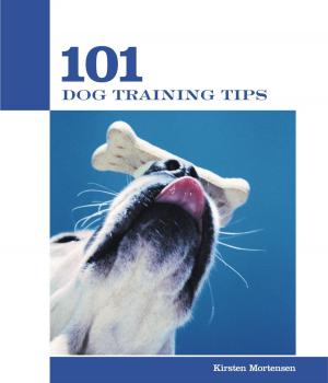 Cover of the book 101 Dog Training Tips by Michael Connelly