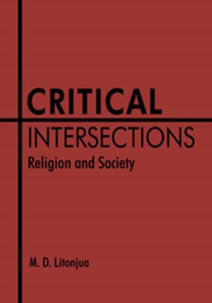 Cover of the book Critical Intersections by Sidney Owitz