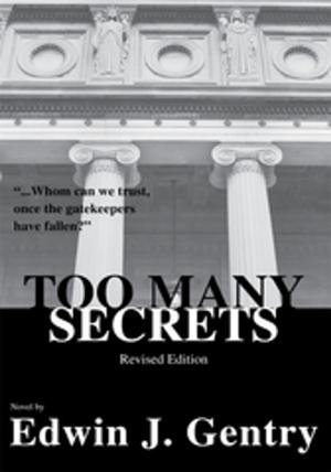 bigCover of the book Too Many Secrets by 