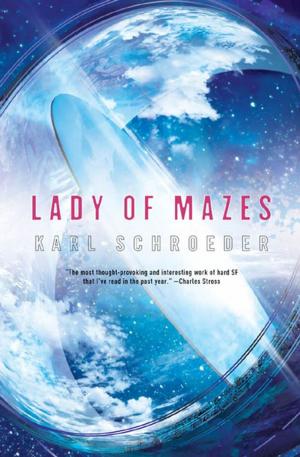 Cover of the book Lady of Mazes by B. Kent Anderson