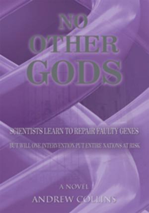 Cover of the book No Other Gods by PASHA MOHAMED ALI TAEHARAH