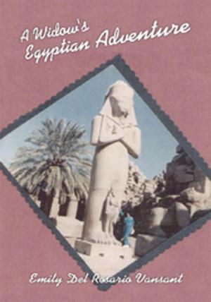 Cover of the book A Widow's Egyptian Adventure by Dudley Callison, Johnny Polk