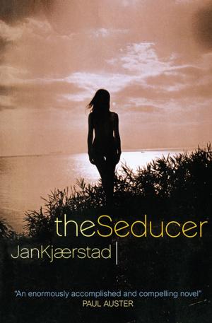 Cover of the book The Seducer by Stef Wertheimer