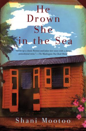 Cover of the book He Drown She in the Sea by Gabrielle Zevin