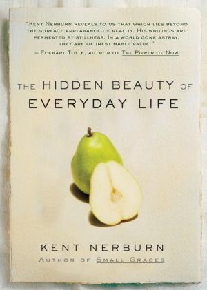 Cover of the book The Hidden Beauty of Everyday Life by 