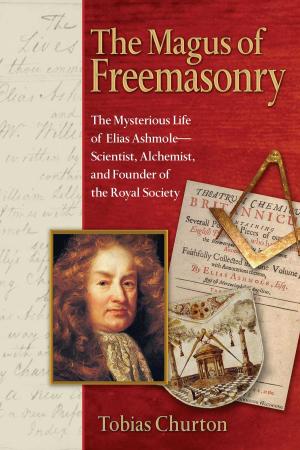 Cover of The Magus of Freemasonry