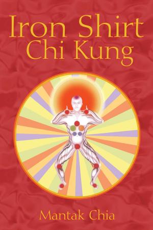 Book cover of Iron Shirt Chi Kung