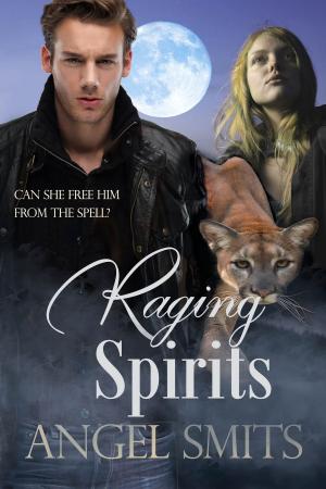 Cover of the book Raging Spirits by Jo Ann Ferguson