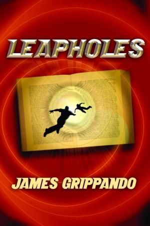 Cover of the book Leapholes by 
