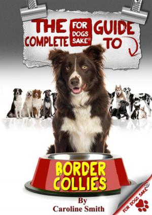Cover of the book The Complete Guide to Border Collies by David Wright