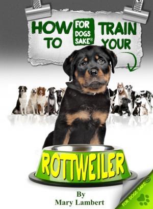 Cover of the book How to Train Your Rottweiler by Jenny Milbrook