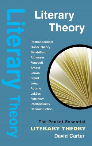 Cover of the book Literary Theory by Anthony Frewin