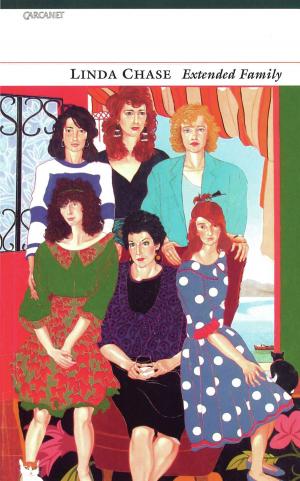 Cover of the book Extended Family by Bonnie Mutchler