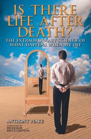 bigCover of the book Is There Life After Death? by 