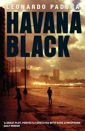 Cover of the book Havana Black by Jo Carroll