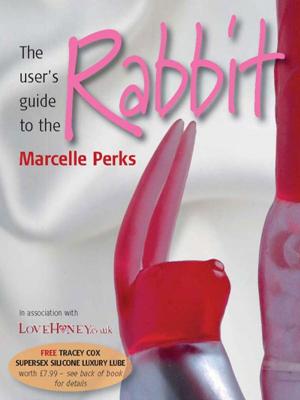 Cover of the book The user's guide to the Rabbit by Infinite Ideas, Giles Kime