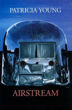 Cover of the book Airstream by Henri Roorda