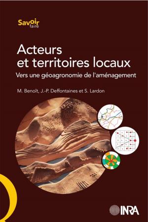 Cover of the book Acteurs et territoires locaux by Denise Blanc