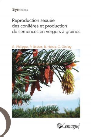 Cover of the book Reproduction sexuée des conifères et production de semences en vergers à graines by Nicolas Gendreau