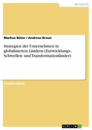 Cover of the book Strategien der Unternehmen in globalisierten Ländern (Entwicklungs-, Schwellen- und Transformationländer) by Julia Brückmann