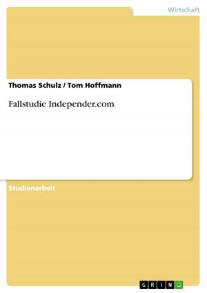 Cover of the book Fallstudie Independer.com by Georg Dyck