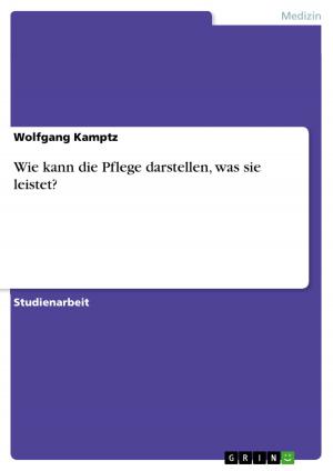 Cover of the book Wie kann die Pflege darstellen, was sie leistet? by Marco Schmidbauer