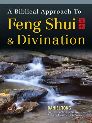 Cover of the book A Biblical Approach to Feng Shui and Divination by James Rondinone