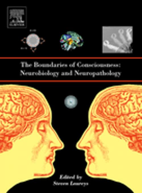 Cover of the book The Boundaries of Consciousness: Neurobiology and Neuropathology by , Elsevier Science
