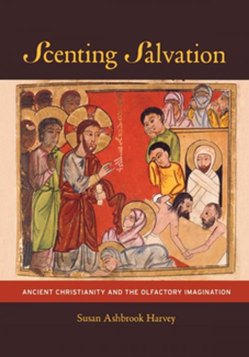 Cover of the book Scenting Salvation by Susan Ashbrook Harvey, University of California Press