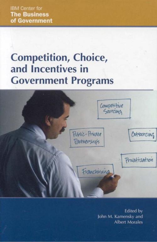 Cover of the book Competition, Choice, and Incentives in Government Programs by , Rowman & Littlefield Publishers