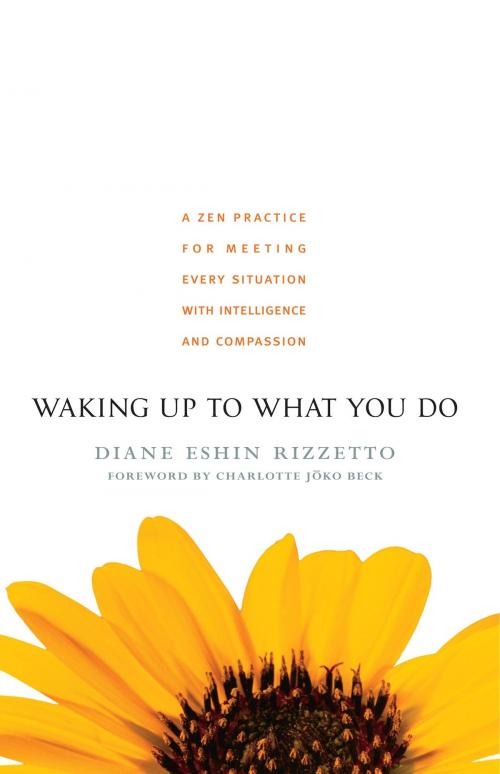 Cover of the book Waking Up to What You Do by Diane Eshin Rizzetto, Shambhala