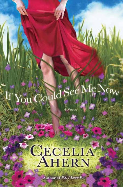 Cover of the book If You Could See Me Now by Cecelia Ahern, Hachette Books