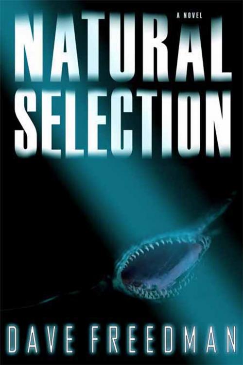Cover of the book Natural Selection by Dave Freedman, Hachette Books