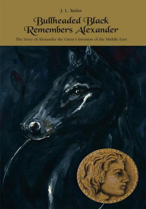 Cover of the book Bullheaded Black Remembers Alexander by J. L. Taylor, Trafford Publishing