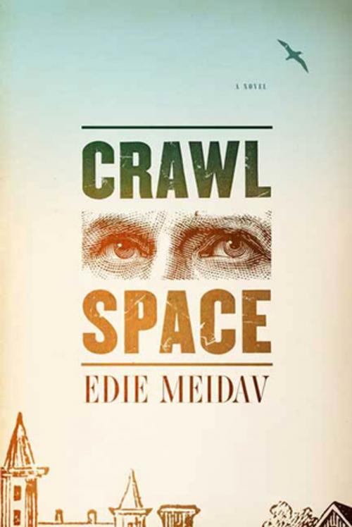 Cover of the book Crawl Space by Edie Meidav, Farrar, Straus and Giroux