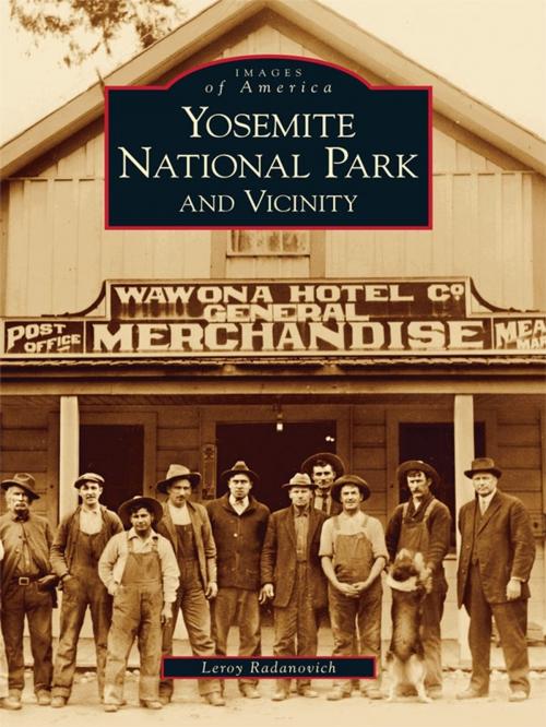 Cover of the book Yosemite National Park and Vicinity by Leroy Radanovich, Arcadia Publishing Inc.