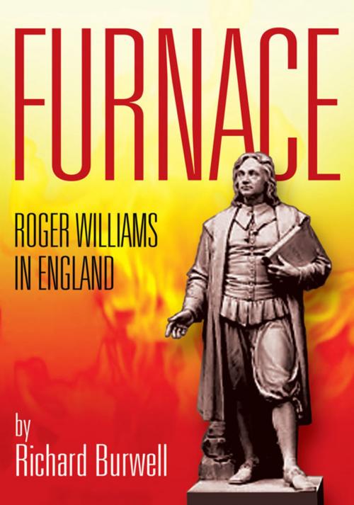 Cover of the book Furnace by Richard Burwell, Xlibris US