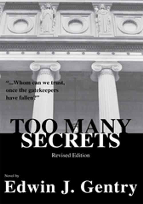 Cover of the book Too Many Secrets by Edwin J. Gentry, Xlibris US