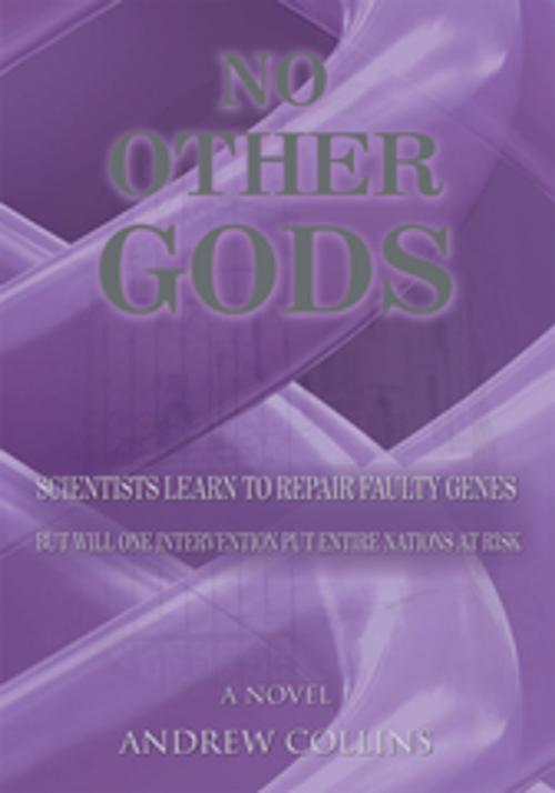 Cover of the book No Other Gods by Andrew Collins, AuthorHouse