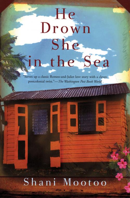 Cover of the book He Drown She in the Sea by Shani Mootoo, Grove Atlantic