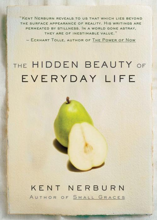 Cover of the book The Hidden Beauty of Everyday Life by Kent Nerburn, New World Library