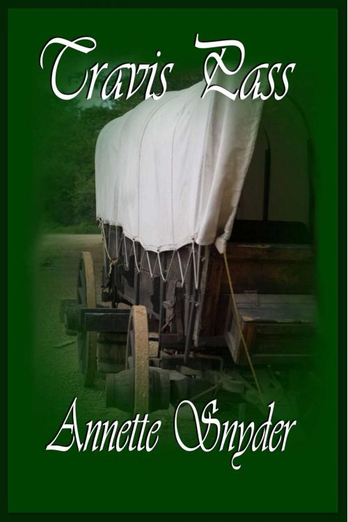 Cover of the book Travis Pass by Annette Snyder, Whiskey Creek Press