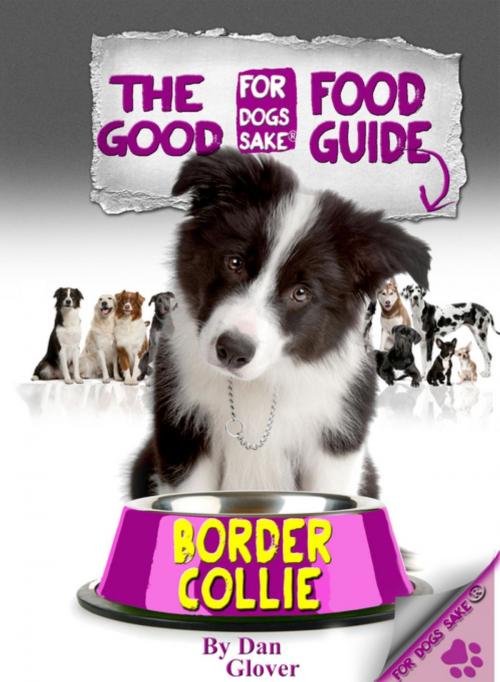 Cover of the book The Border Collie Good Food Guide by Caroline Smith, For Dogs Sake®